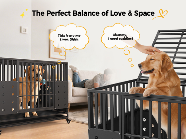 Balance of Love