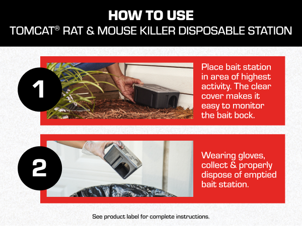 How to Use the Tomcat Rat & Mouse Killer Child & Dog Resistant Disposable Station.