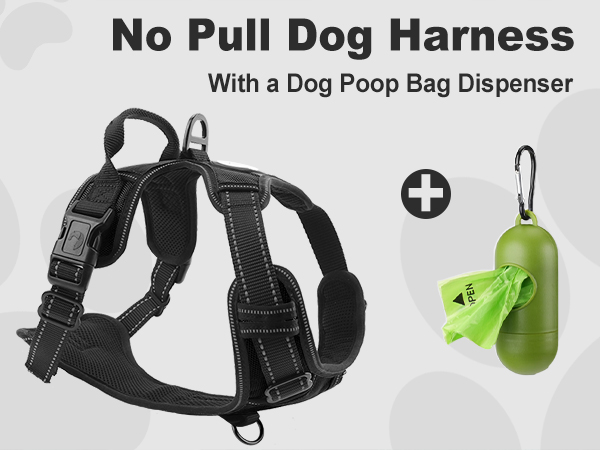 dog harness