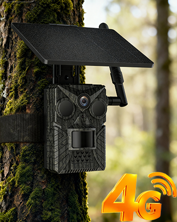 cellular trail camera