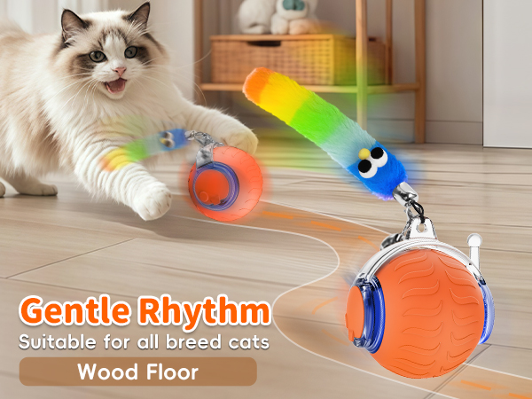 interactive rolling cat toy