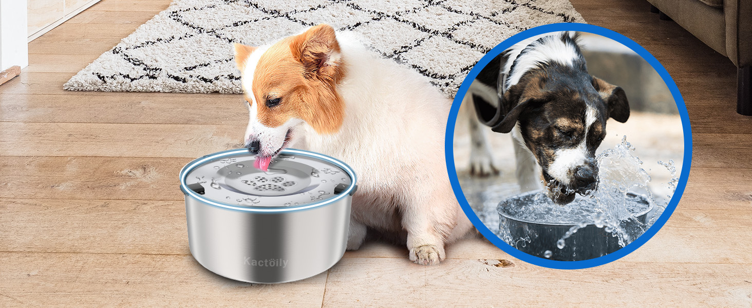 dog water dish