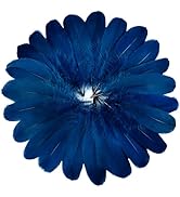 FeelfunFeather 120pcs Navy Blue Goose Feathers 6-8 Inch 15-20cm Decorative Natural Goose Nagoire ...