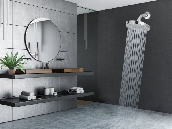 rain setting shower heads