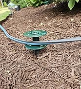 6 Pcs Garden Hose Guide on Spike