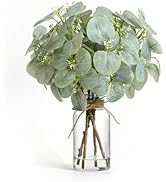 Muhanjia Artificial Eucalyptus Stems in Clear Glass Vase with Faux Water, 14