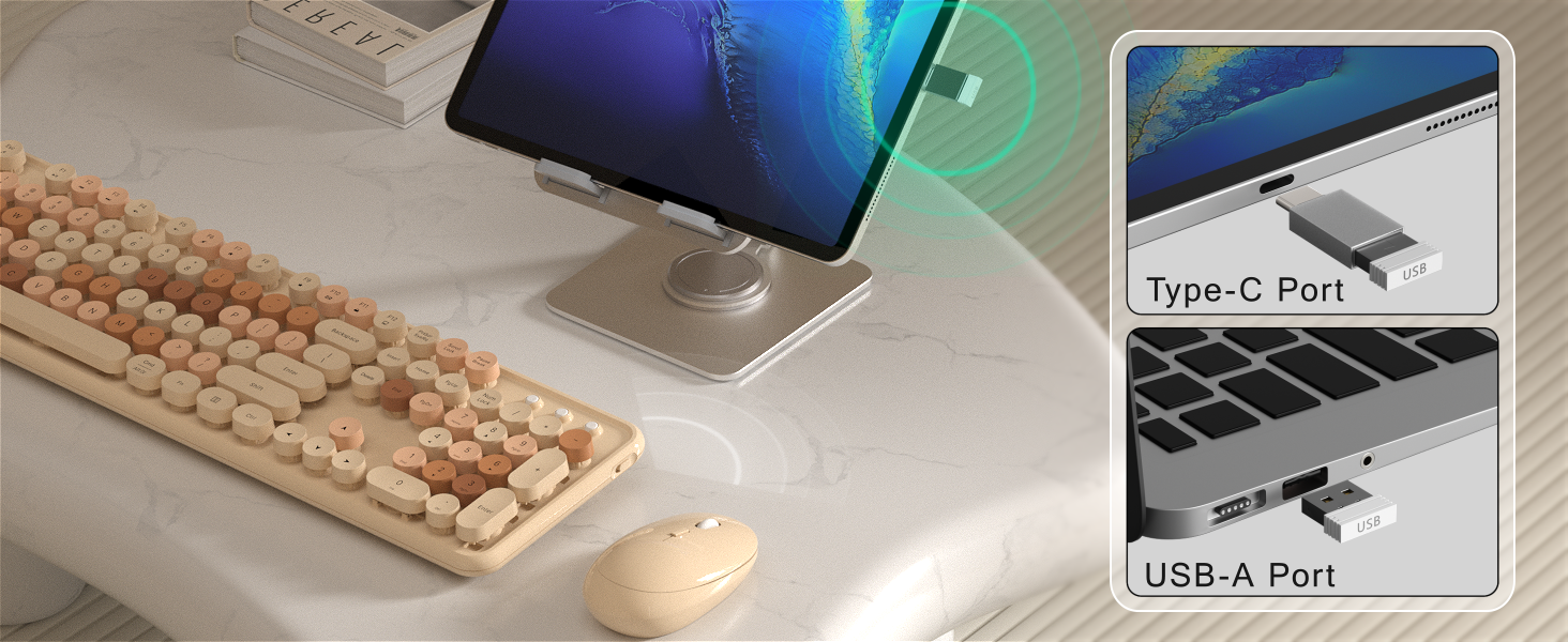 computer keyboard and mouse