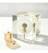 Didiseaon Real Dandelion Resin Cube Paperweight, Clear Flower Specimen Block Display, Botanical N...