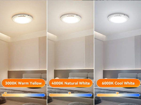 Motion Sensor Ceiling Light