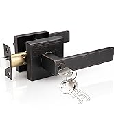 Entry Door Lever