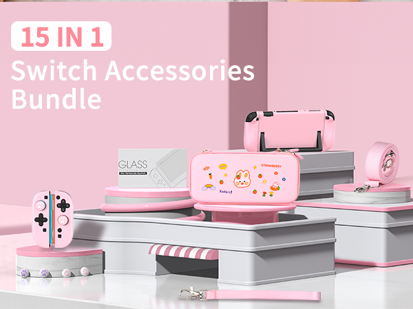 Nintendo switch 2 case