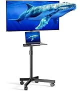 Xyndyx Mobile TV Cart for 23-60 Inch LCD LED OLED Flat Curved Screen Outdoor TVs Height Adjustabl...