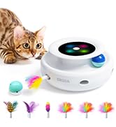 cat toys for indoor cats adult