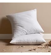 MIULEE 26x26 Euro Pillow Inserts, Pack of 2 Down Feather Throw Pillow Inserts, Decorative Fluffy ...