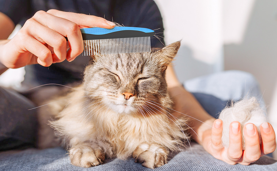 dog brush