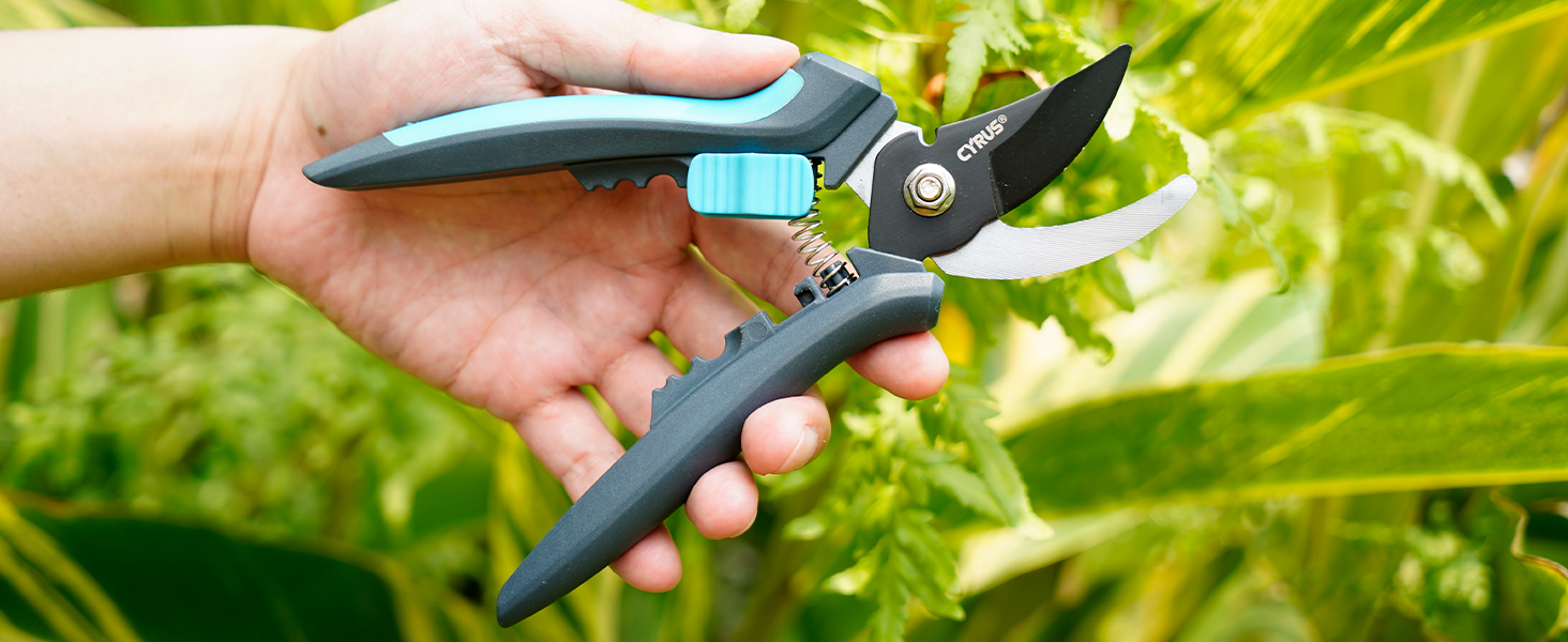 shears
