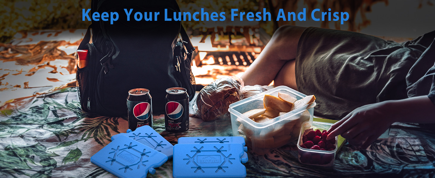 Long-Lasting Cool Packs for Lunch Box