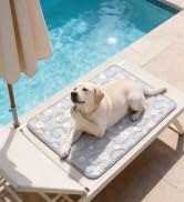 dog cooling mat