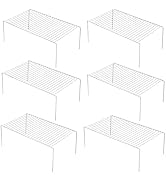 iPEGTOP 6 Pack Large (15.7 x 9.4 Inch) Freezer Cabinet Storage Shelf Rack, Rustproof Stainless St...