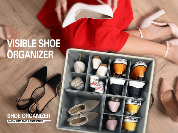 Shoe Organizer for Closet