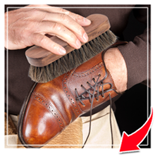 leather brush