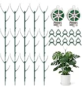 15 Packs Stackable Monstera Plant Support, 11 inch Plant Stakes with 131ft Garden Twist Tie & 10 ...