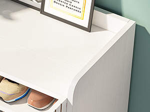 SHOE CABINET