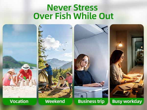 Never Stress Over Fish While Out