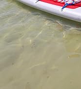 trolling motor battery