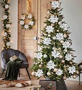 Silver Poinsettia
