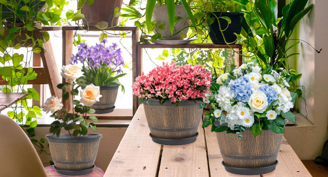whiskey barrel plant pots 3