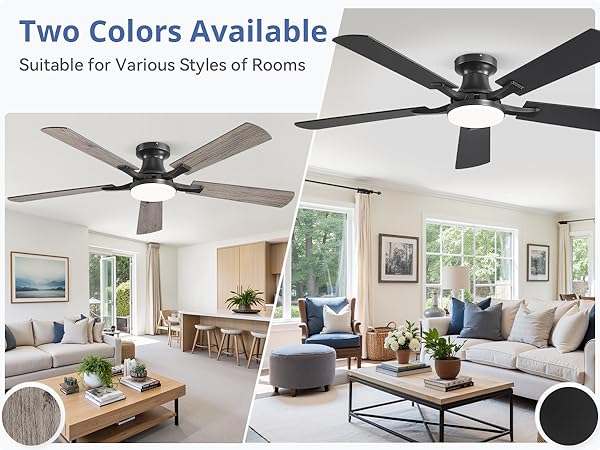 ceiling fan