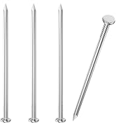 VGBUY 80PCS Stainless Steel Hardware Nails, 3 Inch Flat Head Nails for Hanging Pictures, Picture ...