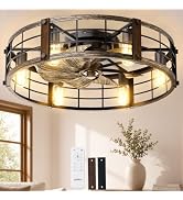 addlon 24 Inch Farmhouse Flush Mount Ceiling Fans with Lights and Remote, Black and Gold Caged Fa...