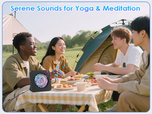 portable cd player with speakers