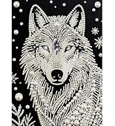 DIADAY 5D DIY Pearl Painting Kit for Adults Wolf, Pearl & Diamond Art Painting Special Shape Rhin...