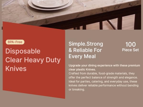 Disposable Cutlery Set 100 Pieces knives