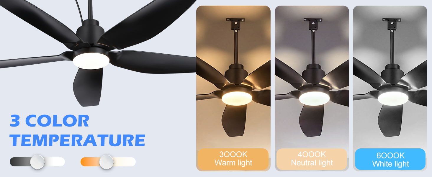 ceiling fan