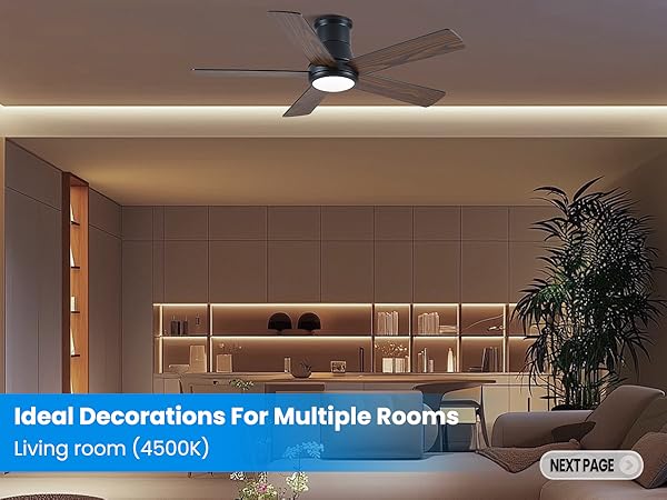 living room ceiling fan
