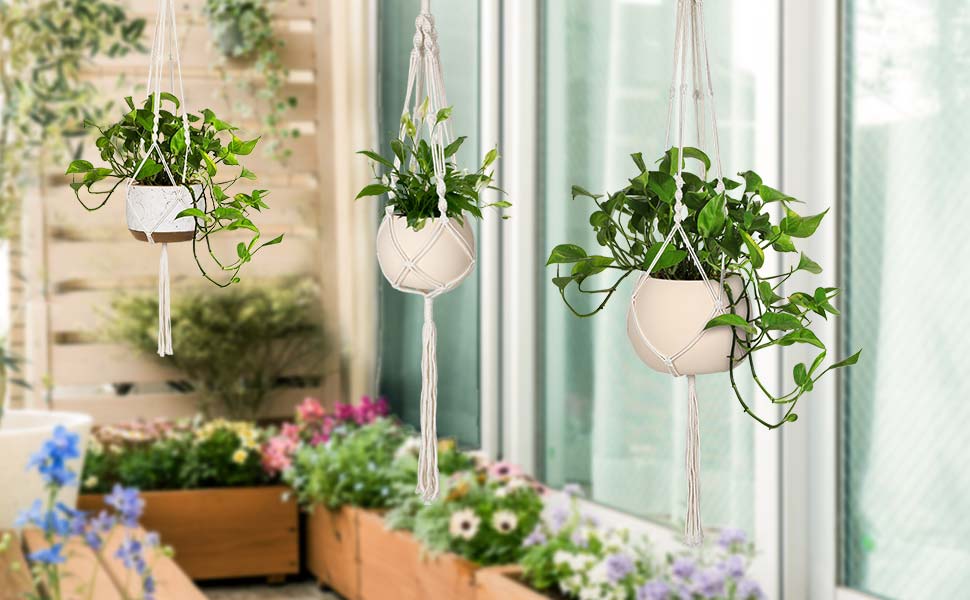 plant holder