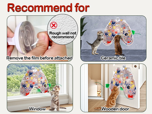 hanging cat toy