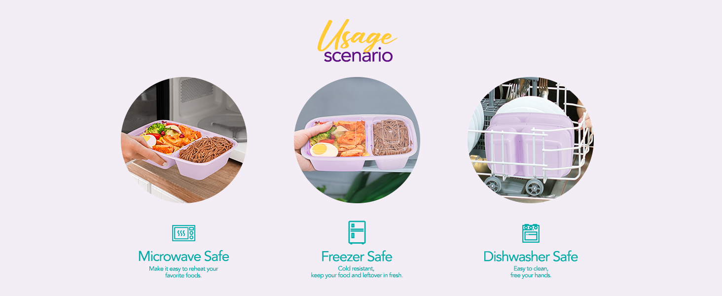 disposable lunch containers