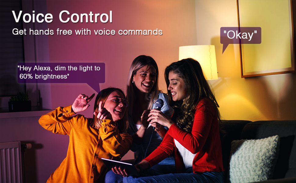 Voice Control Light Bulbs