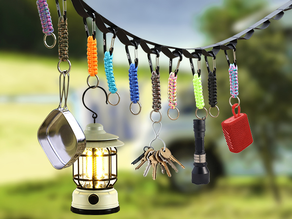 Paracord Carabiner Keychain