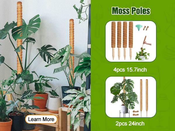 moss pole