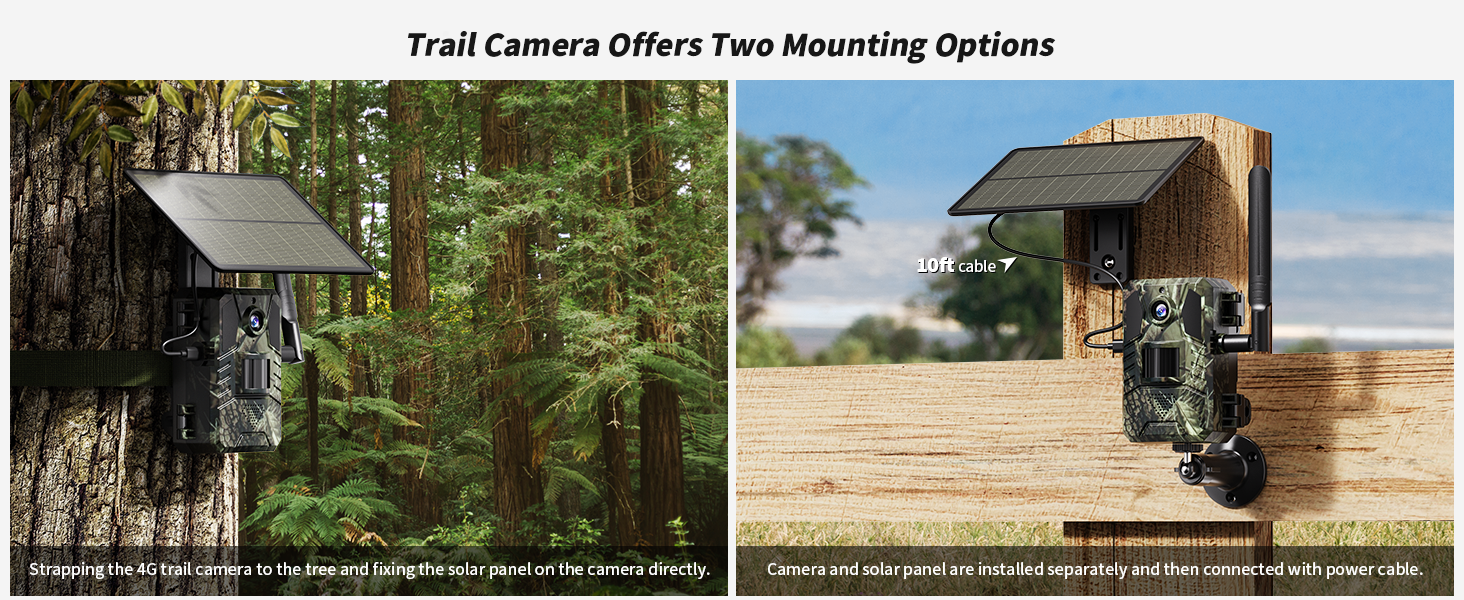 trail camera