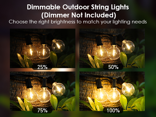dimmable G40 string lights