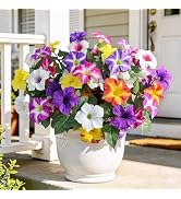 Uieke Artificial Flowers for Outdoors, 24PCS Faux Petunias Outdoor Uv Resistant Silk Flower, Spri...