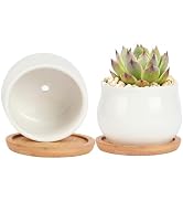 2 Pack Succulent Pots, 2.5 Inch Mini Ceramic Pots for Flower or Cactus Plants with Drainage Hole,...