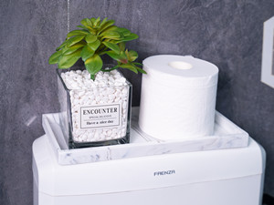 toilet tank tray